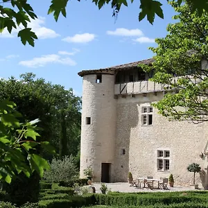  Hébergement de vacances Château De Mayragues France